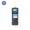 60W Ac Brake Motor