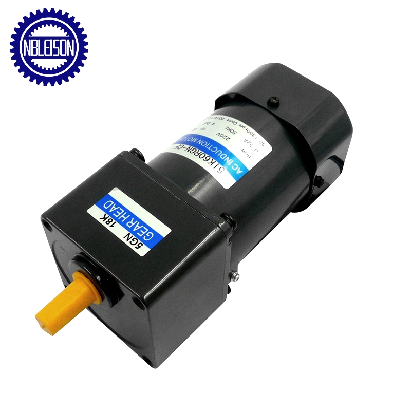 60W Ac Induction Motor