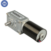 LS-WGM4058-TEC3650 Brushless Dc Worm Gear Motor