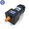 120W Reinfored Ac Induction Motor