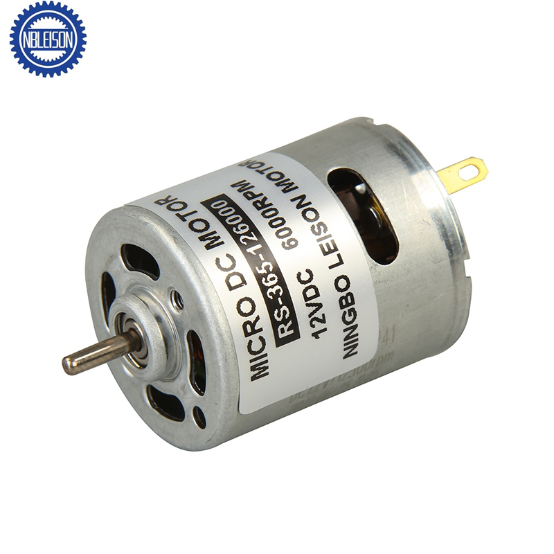 RS-365 Dc Micro Motor